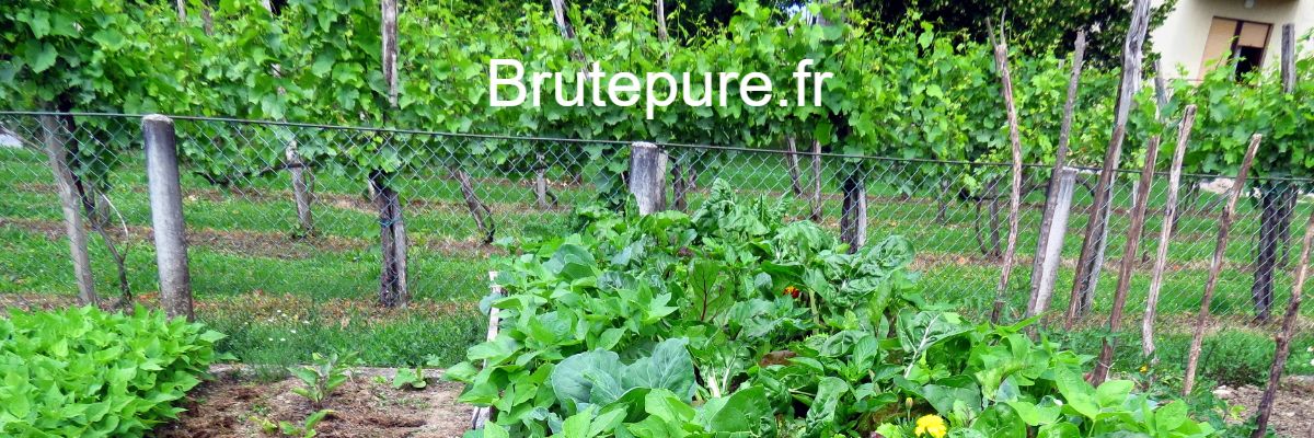 brutepure.fr